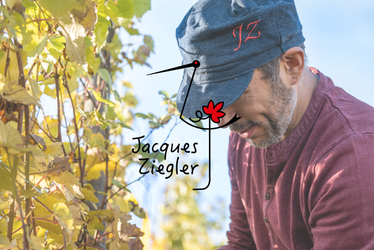 Jacques Ziegler