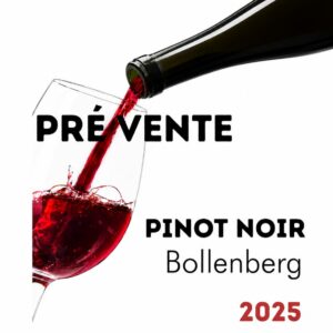 prévente Pinot noir 2025