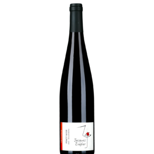 Pinot noir 2025